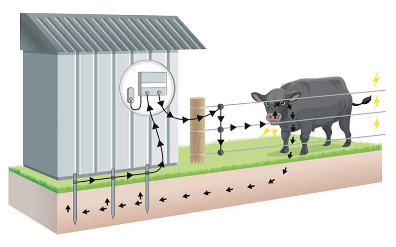 Importance of Good Ground - Electric Fence Canada