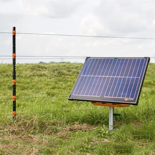 Gallagher S400 Solar Fence Energizer in use