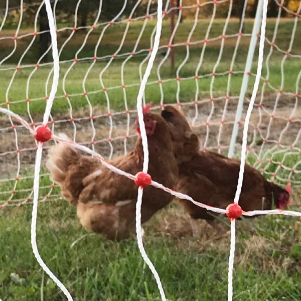 Poultry Turbo Netting