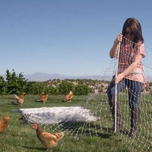 Poultry Netting - Electric Fence Canada